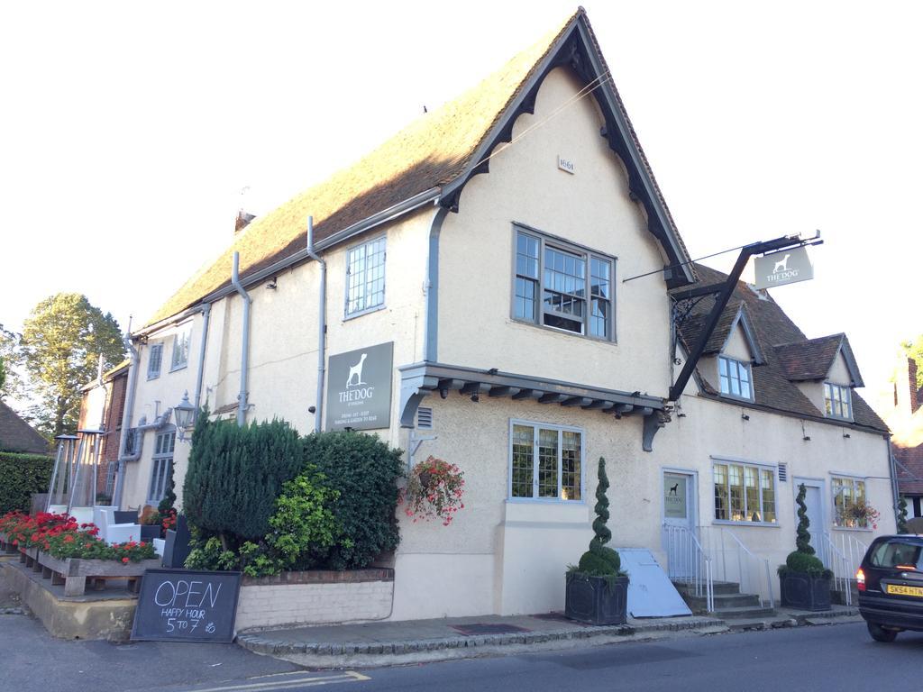 The Dog At Wingham Hotel Exterior photo